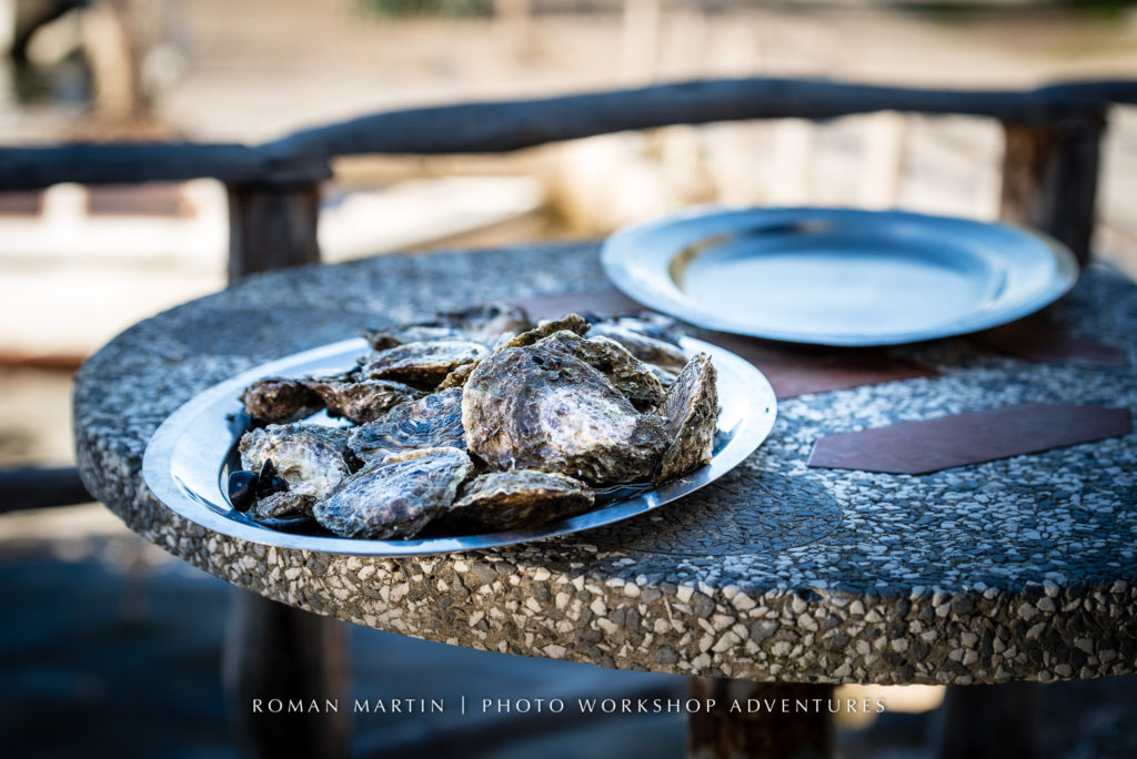 Croatian Oyster farm with