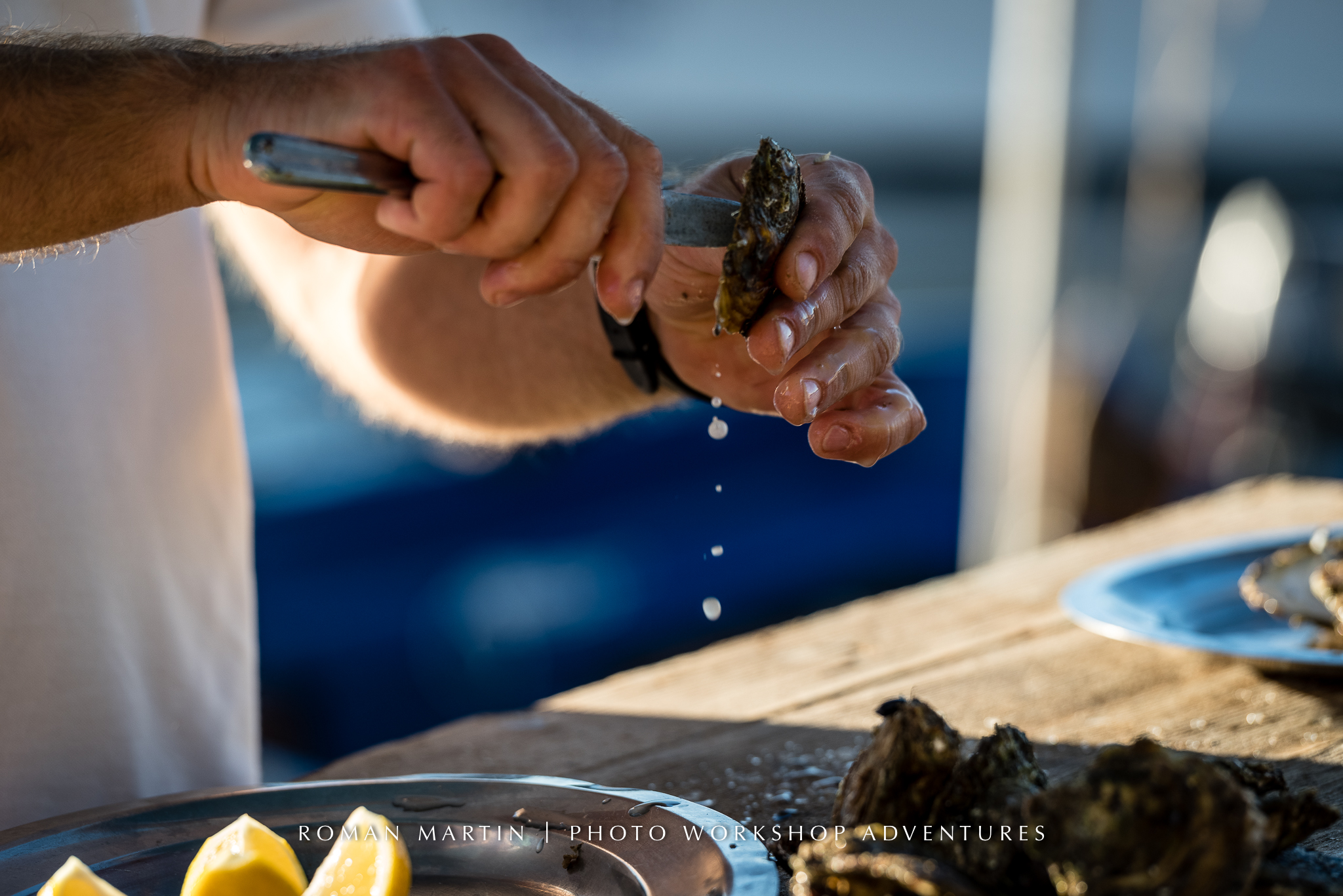Croatian Oyster farm with