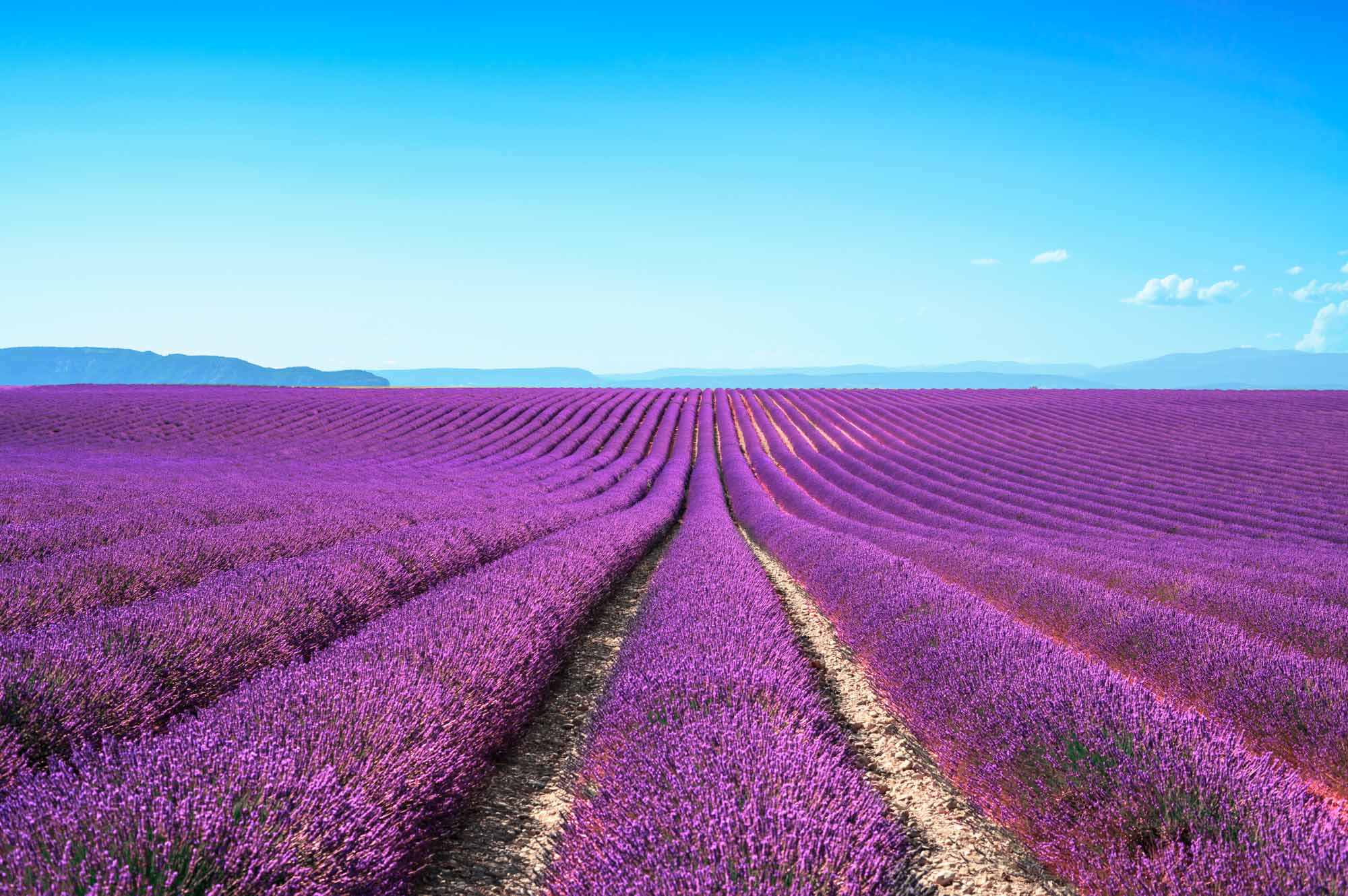 WHAT TO PHOTOGRAPH IN PROVENCE - think orange