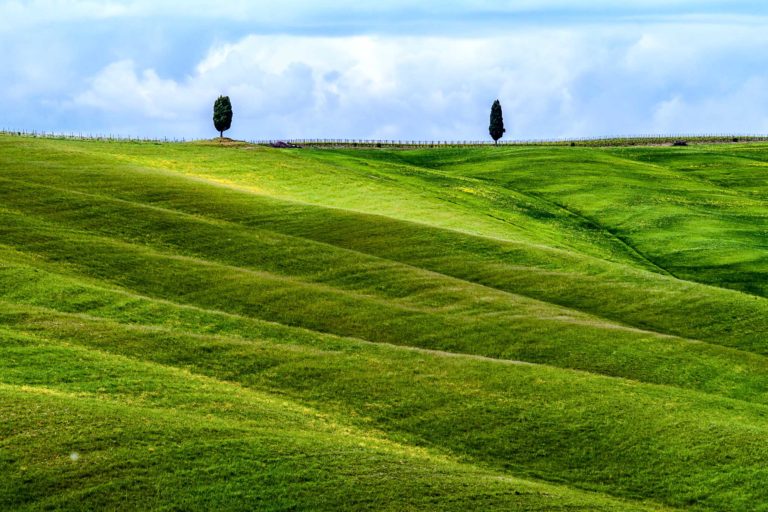 Rolling hills of green waves, in Tuscany.