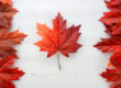 Photo of the Canadian flag made with maple leaves.