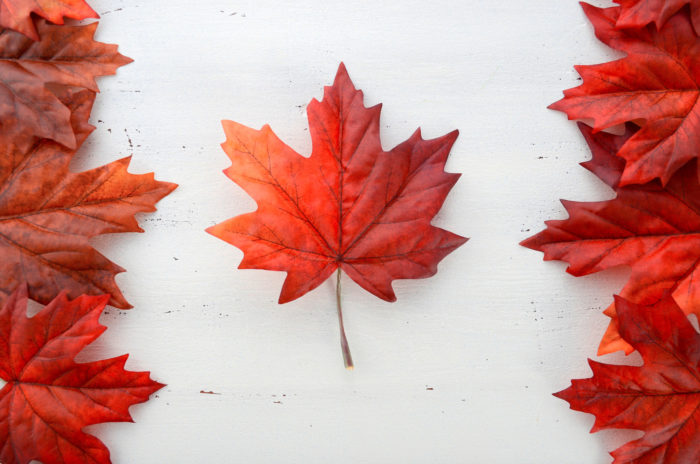 maple-leaves-think-orange-photo-workshop-adventures Photo of the Canadian flag made with maple leaves.