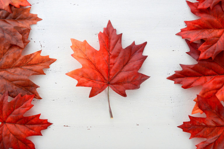 Photo of the Canadian flag made with maple leaves.
