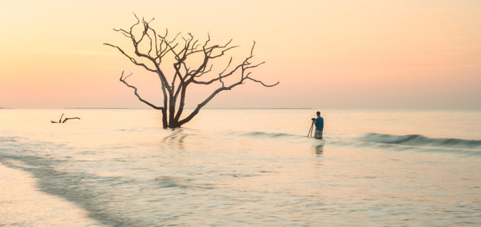 Photographer wading in the water to photograph a tree in South Carolina, by Think Orange Magazine.